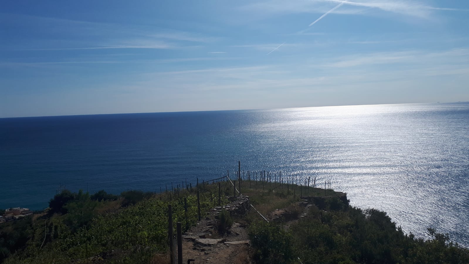 manarola olimpo affittacamere